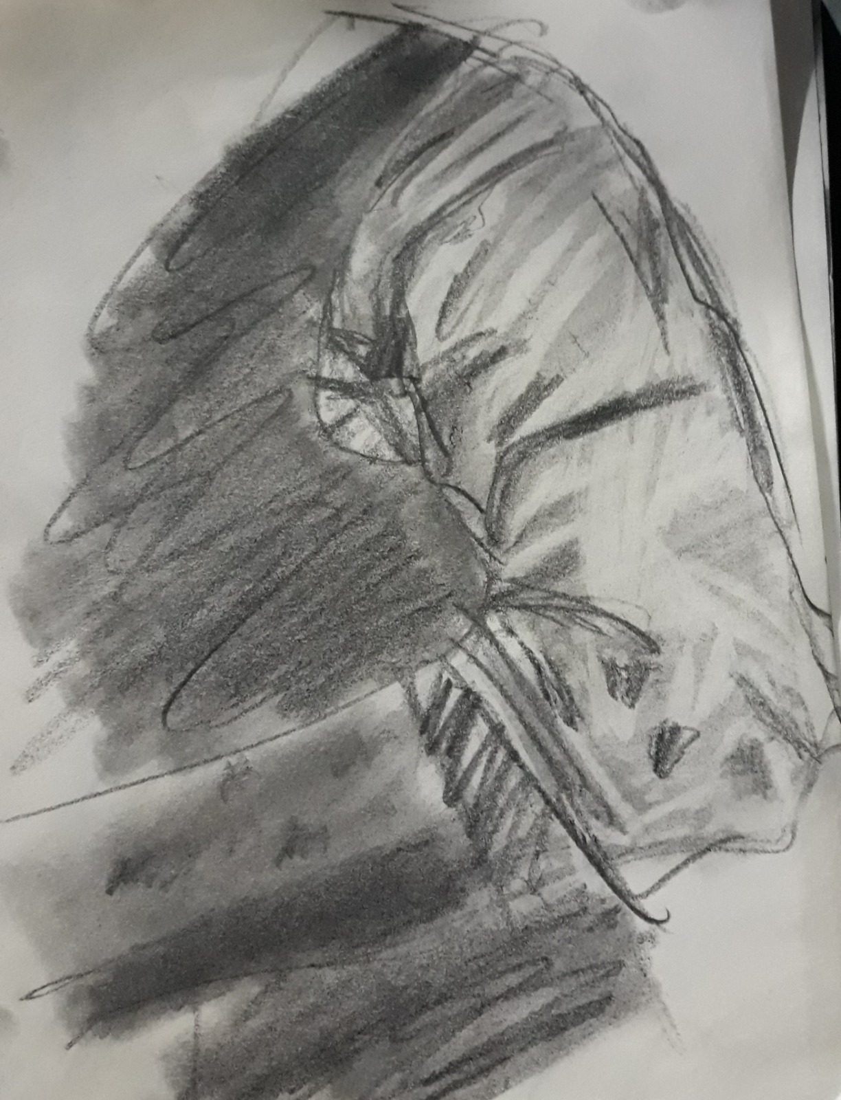 Boceto 1, ilustración común